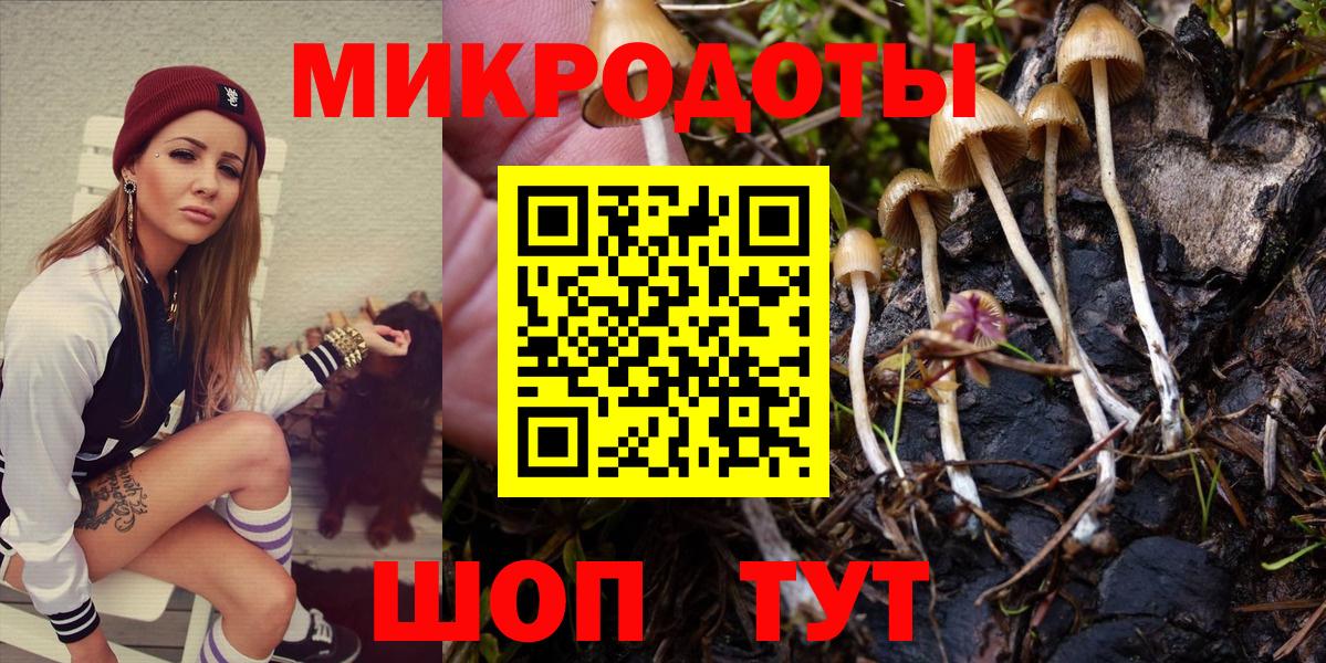 Магадан  Псилоцибиновые грибы мицелий  Вход с VPN  Псилоцибиновые грибы Psilocybine cubensis 