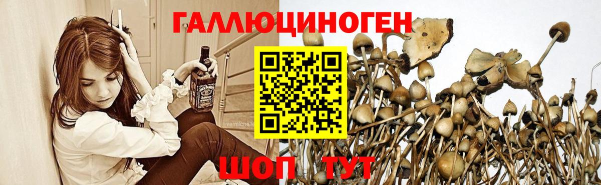 Галлюциногенные грибы прущие грибы Магадан